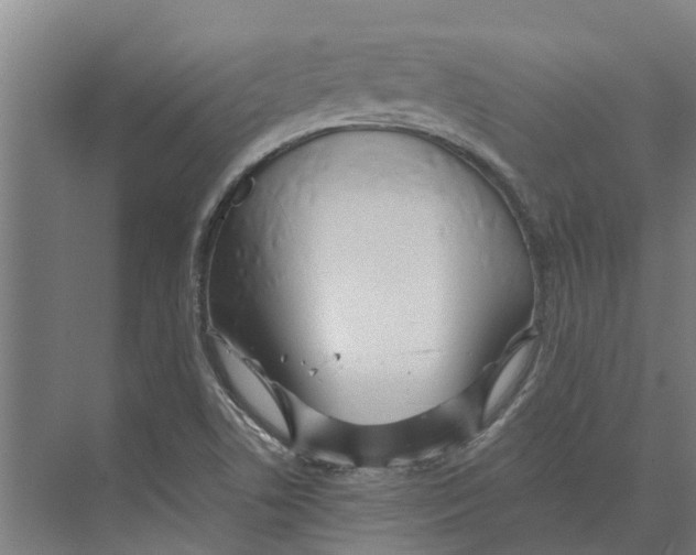 X0000074001506200609181755