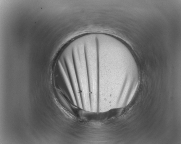 X0000074001507200609181755