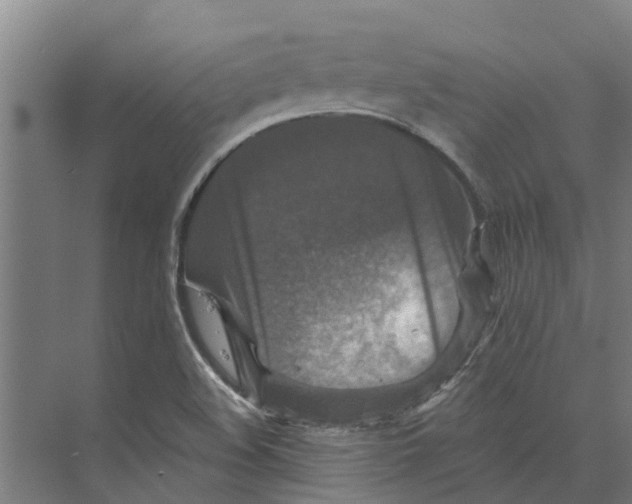 X0000074001508200609181755