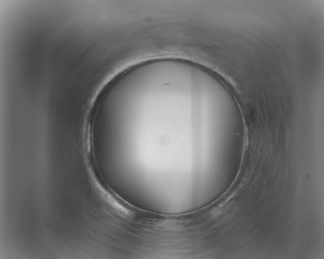 X0000074001510200609181755