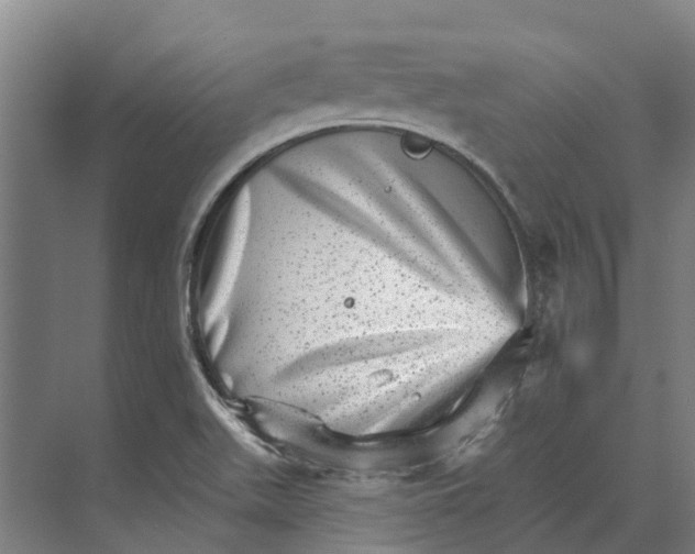 X0000074001511200609181755