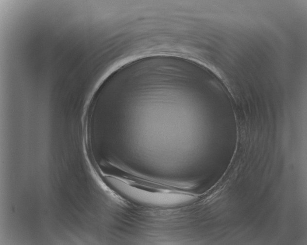 X0000074001515200609181755