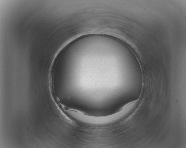 X0000074001517200609181755