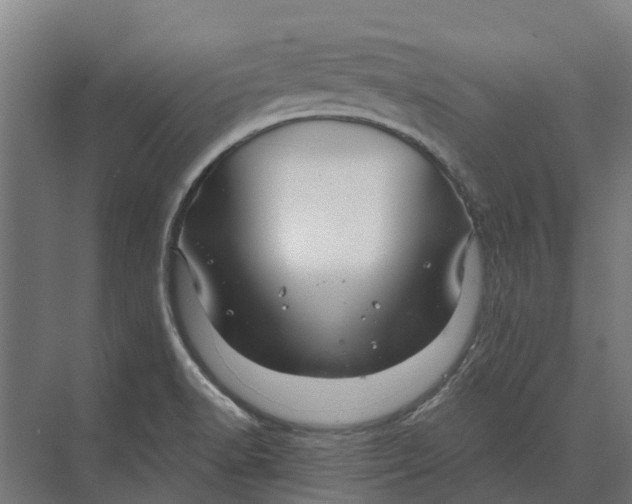 X0000074001518200609181755