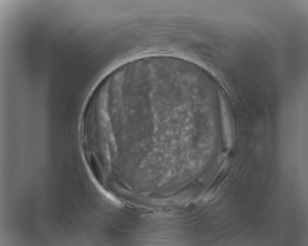 X0000074001519200609181755