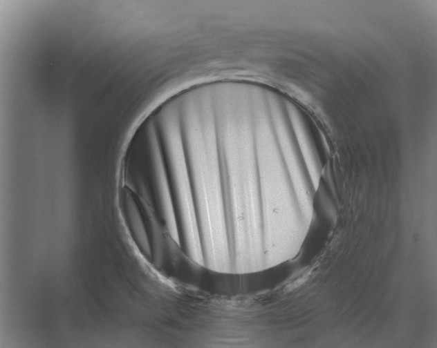 X0000074001520200609181755