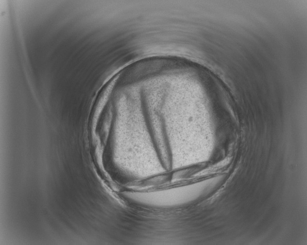 X0000074001521200609181755