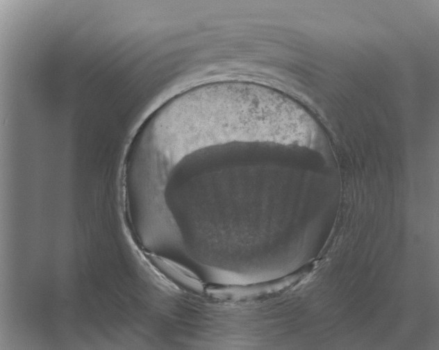 X0000074001522200609181755