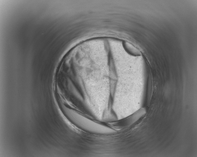 X0000074001523200609181755