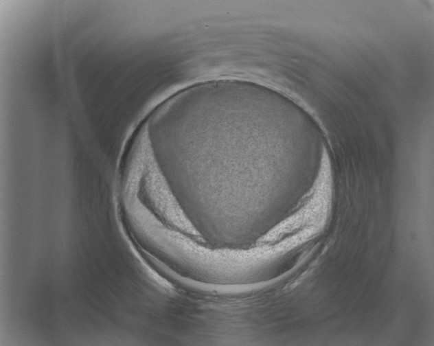 X0000074001525200609181755