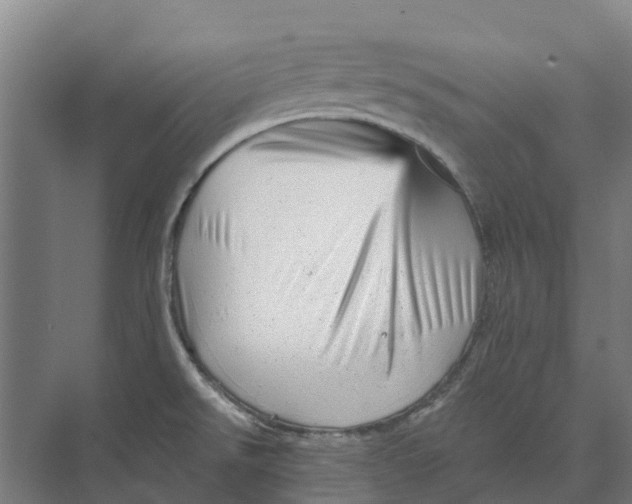 X0000074001526200609181755