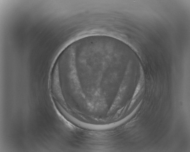 X0000074001527200609181755