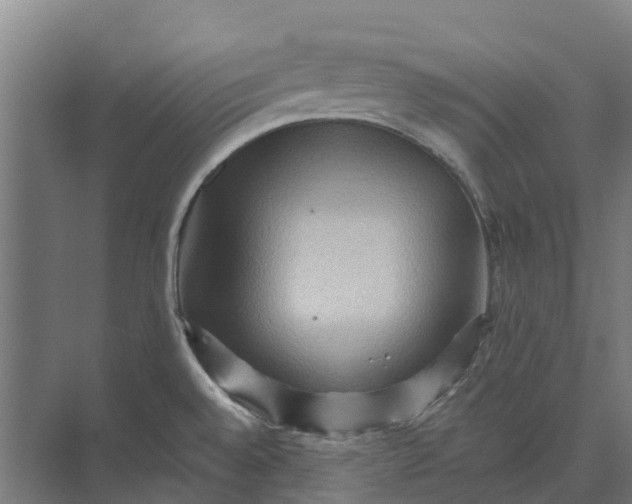 X0000074001528200609181755