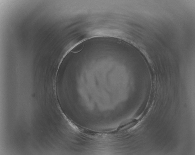 X0000074001529200609181755