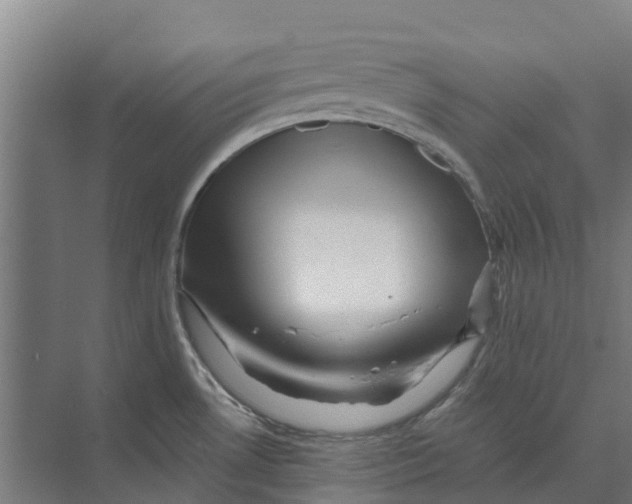 X0000074001530200609181755