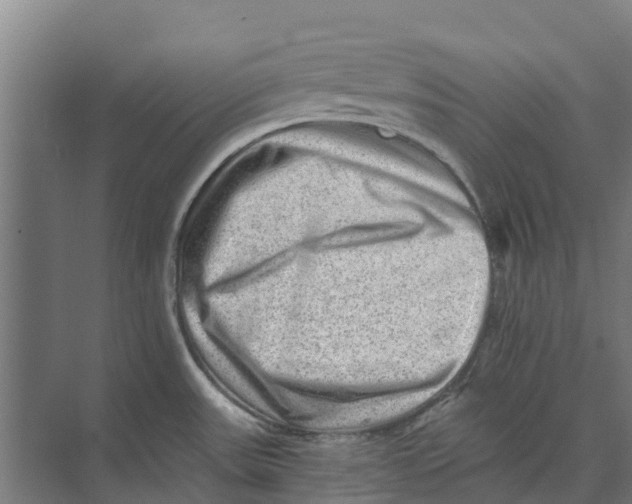 X0000074001531200609181755