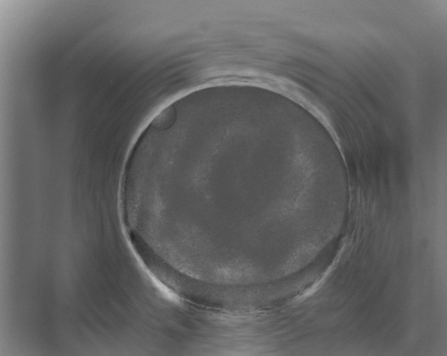 X0000074001533200609181755