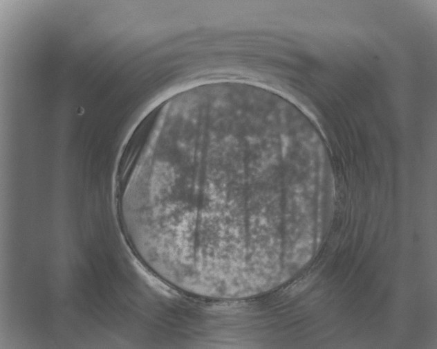 X0000074001535200609181755