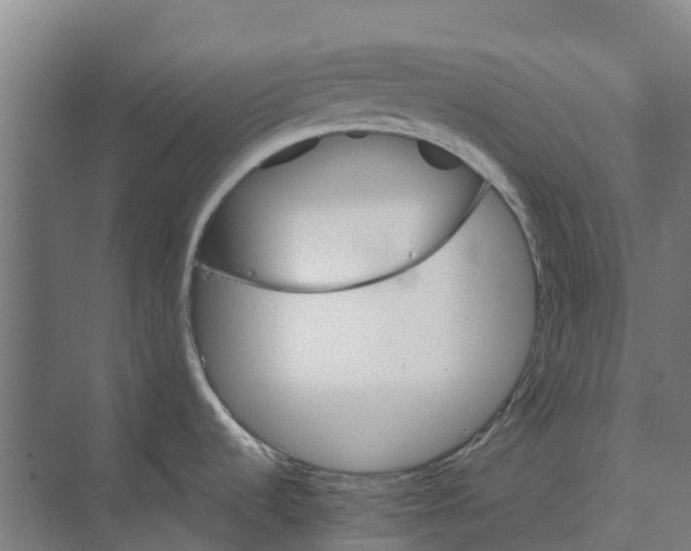 X0000074001536200609181755