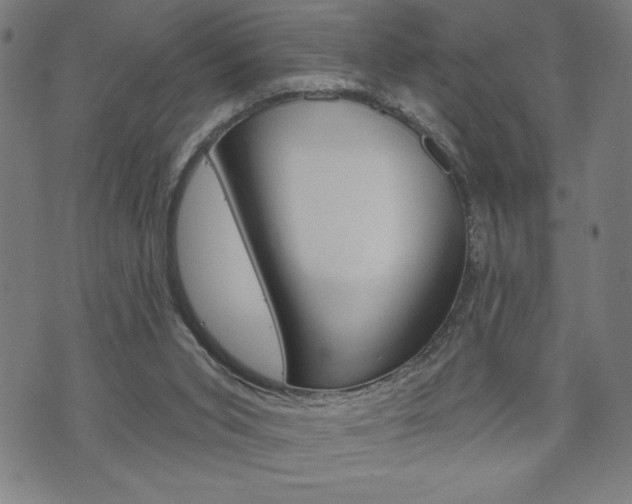 X0000074010015200608211055