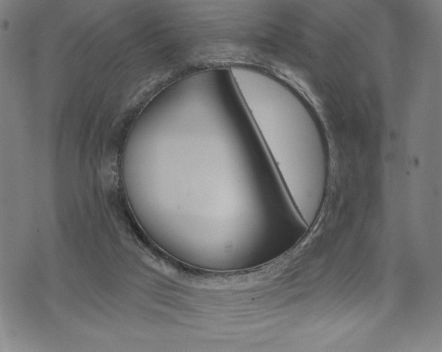 X0000074010017200608211055