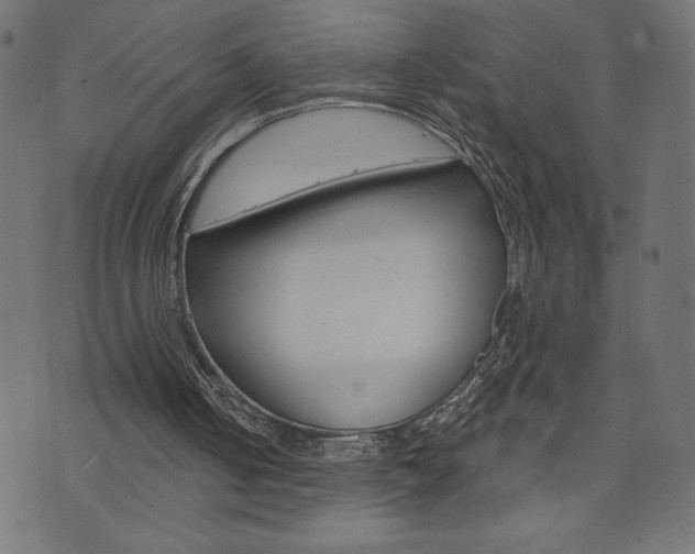 X0000074010050200608211053