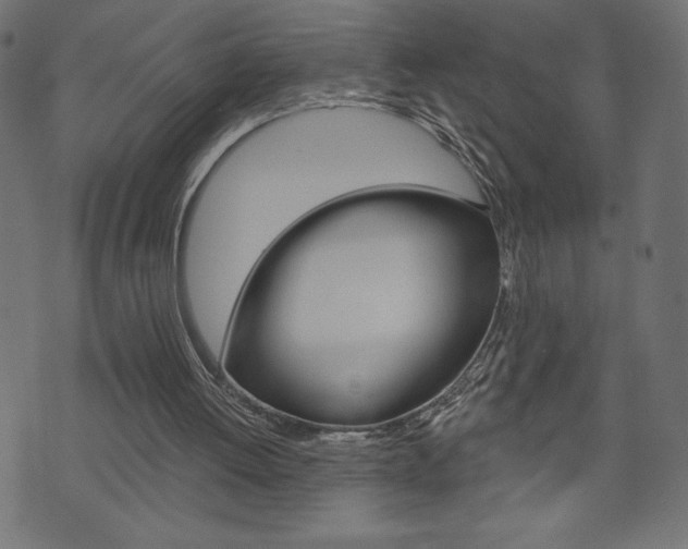 X0000074010052200608211053