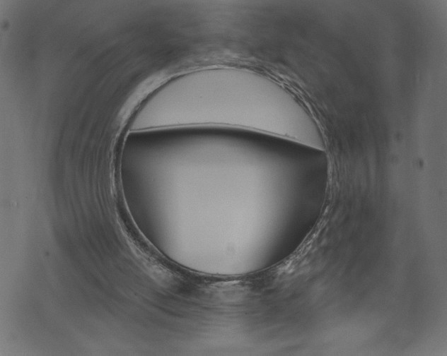 X0000074010054200608211054