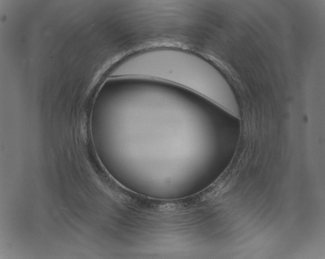 X0000074010064200608211054