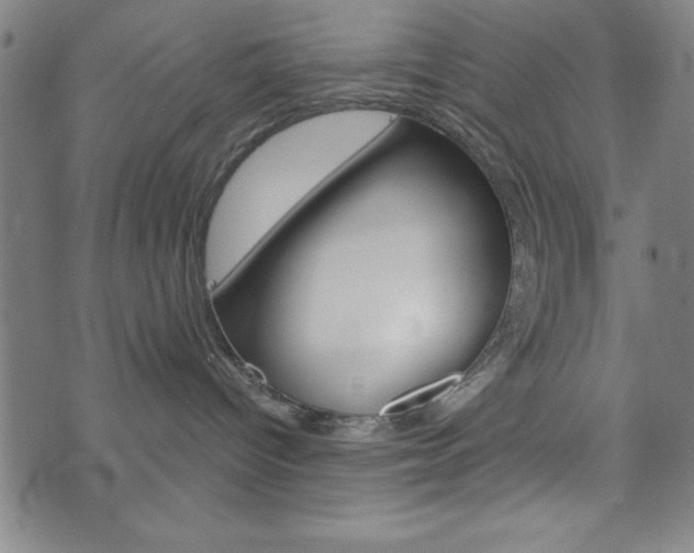 X0000074010096200608211054