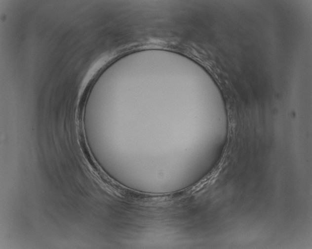 X0000074010102200608211053
