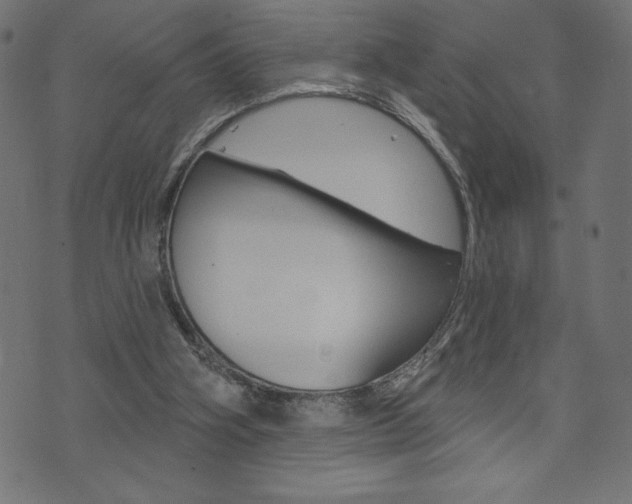 X0000074010106200608211053