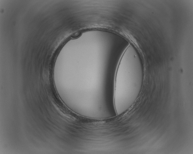 X0000074010108200608211053