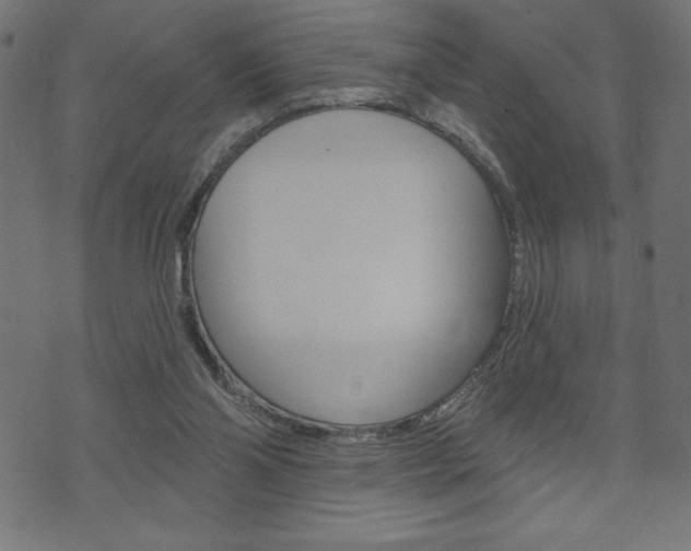 X0000074010110200608211053