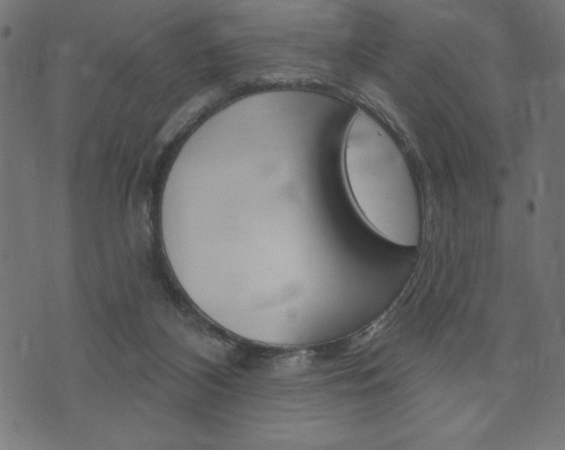 X0000074010116200608211053