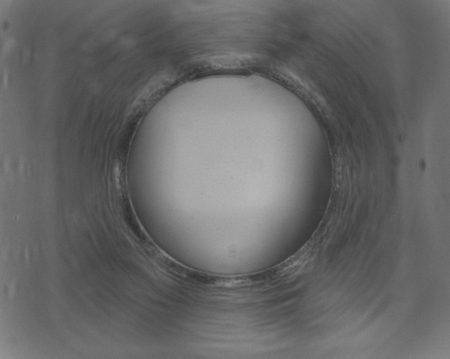 X0000074010117200608211053