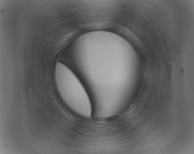 X0000074010119200608211053