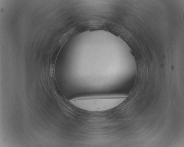 X0000074010137200608211053