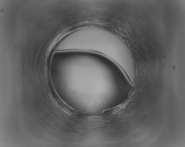 X0000074010150200608211052
