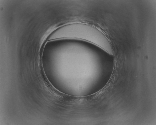 X0000074010152200608211052