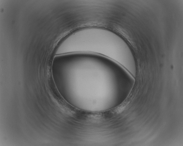 X0000074010164200608211052