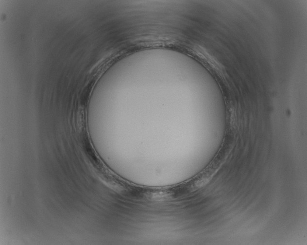 X0000074010165200608211052