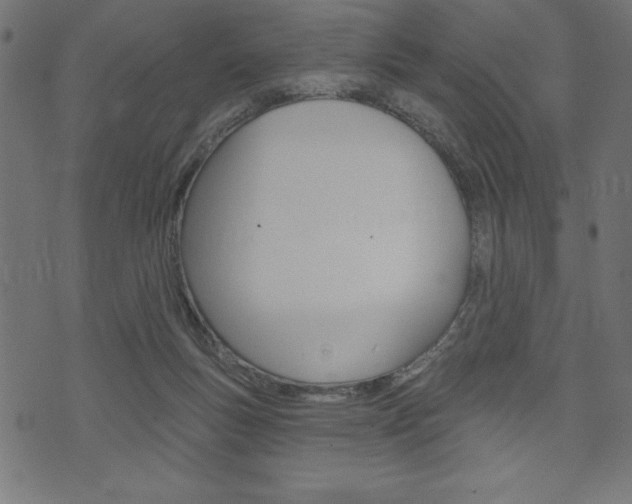 X0000074010167200608211052