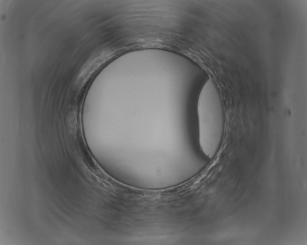 X0000074010194200608211052
