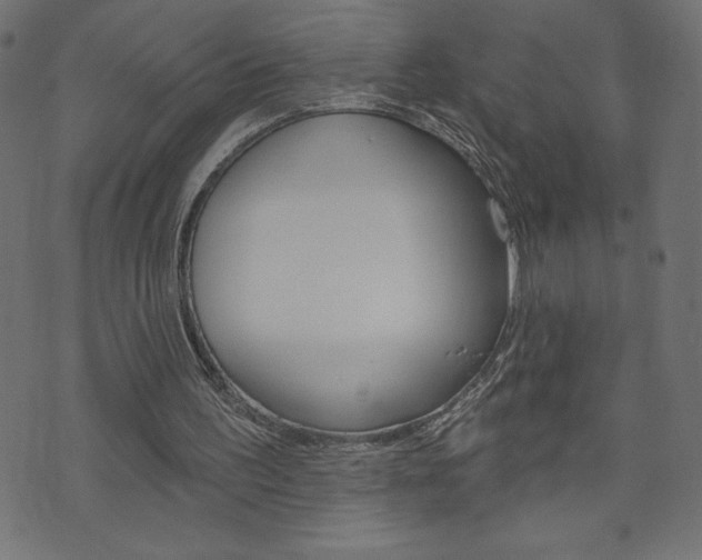 X0000074010195200608211052