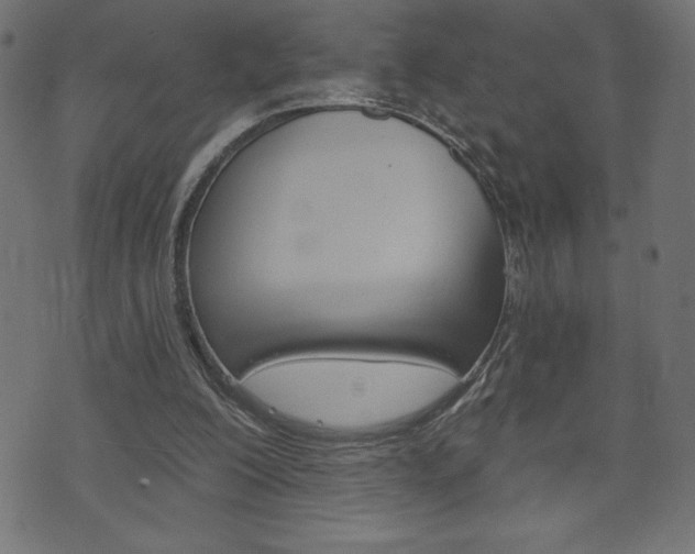 X0000074010200200608211052