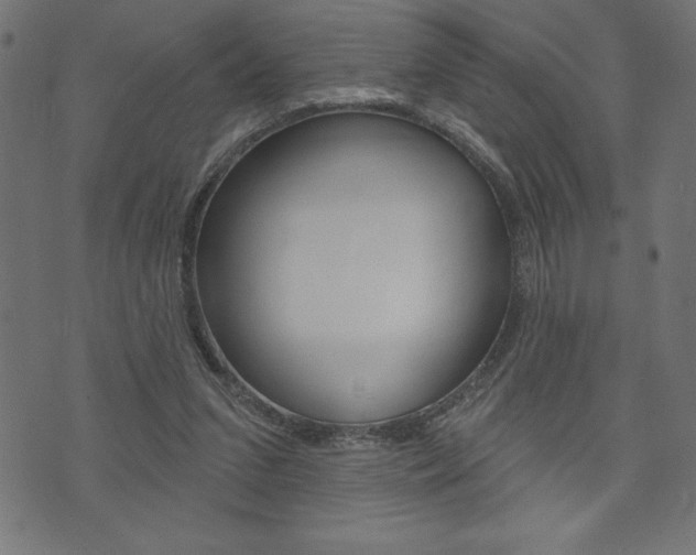X0000074010207200608211052