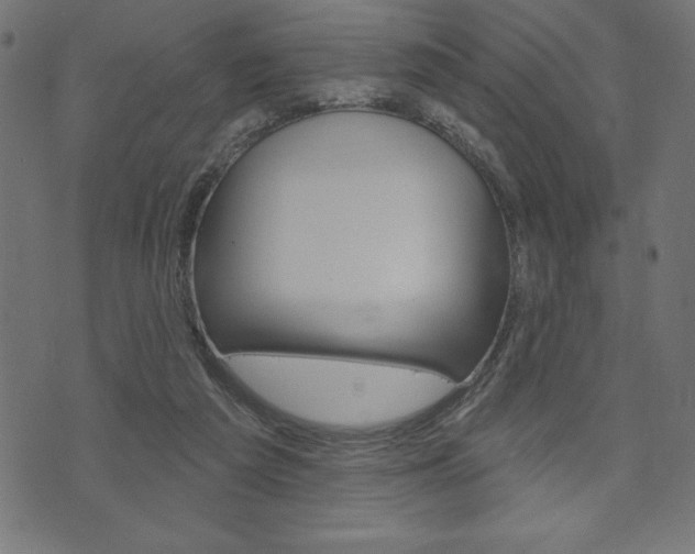 X0000074010209200608211052