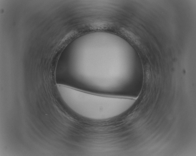 X0000074010211200608211052
