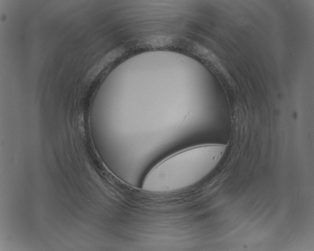 X0000074010212200608211052